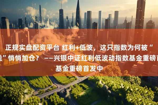 正规实盘配资平台 红利+低波，这只指数为何被“聪明钱”悄悄加仓？ ——兴银中证红利低波动指数基金重磅首发中