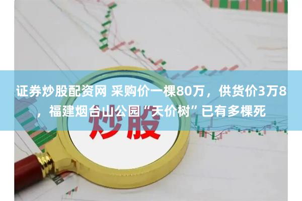 证券炒股配资网 采购价一棵80万，供货价3万8，福建烟台山公园“天价树”已有多棵死