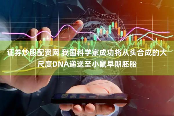 证券炒股配资网 我国科学家成功将从头合成的大尺度DNA递送至小鼠早期胚胎